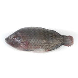 Tilápia inteira eviscerada e escamada - Pacote 500 a 800g